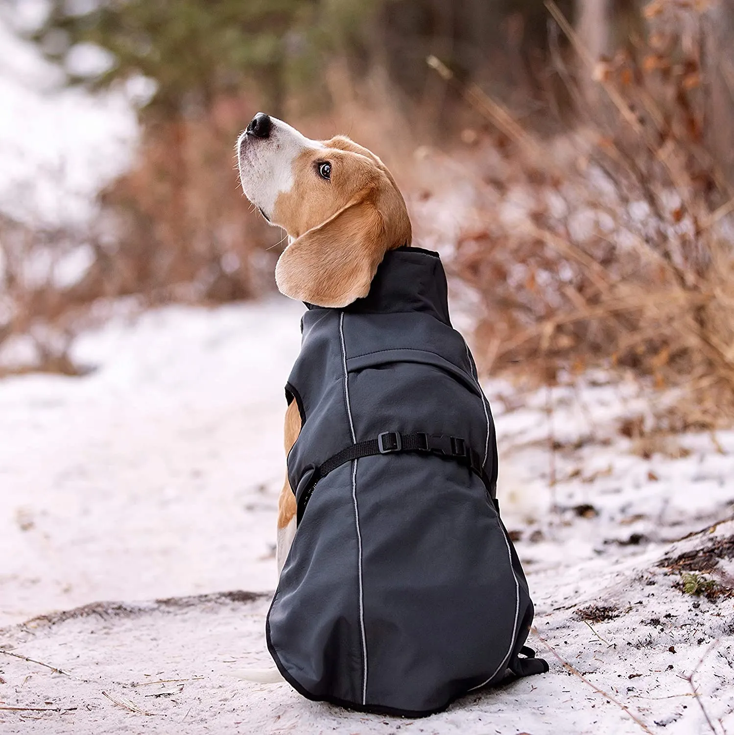 Dog Winter Coat with Smart Heat-Reflective Insulation X-Large