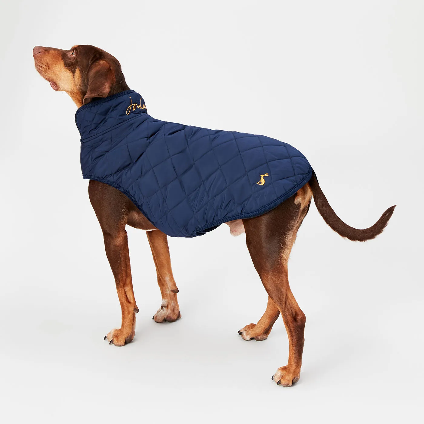 Joules Quilted Dog Coat