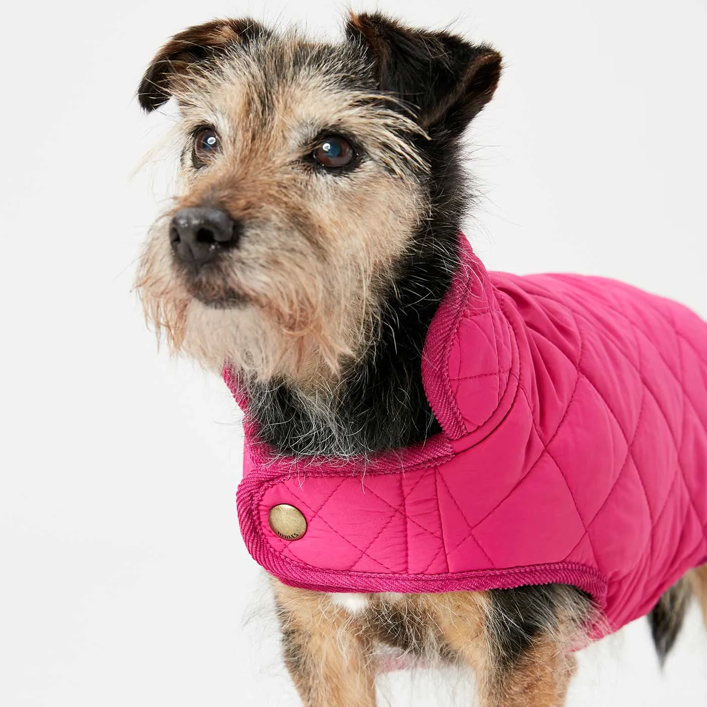 Joules Quilted Dog Coat