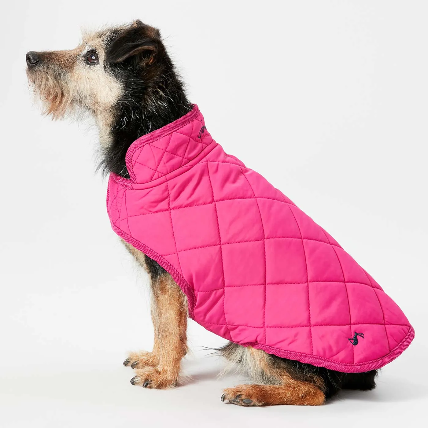 Joules Quilted Dog Coat