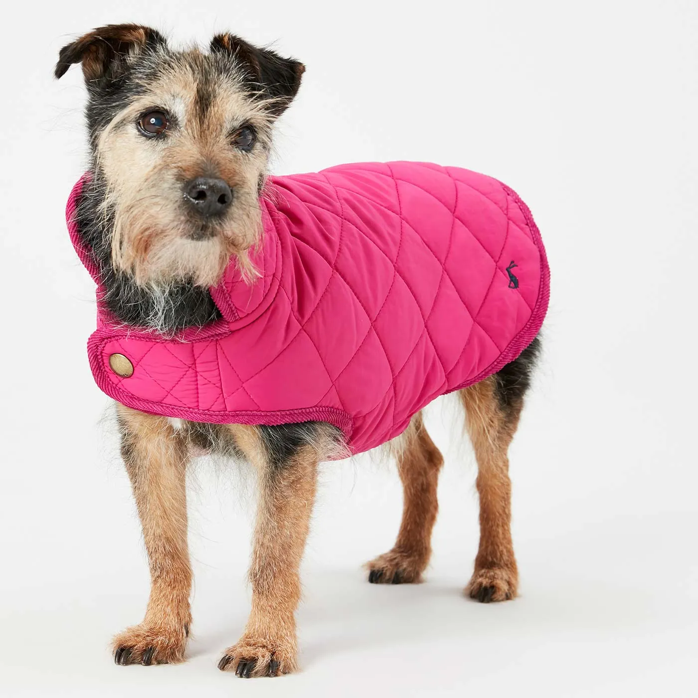 Joules Quilted Dog Coat