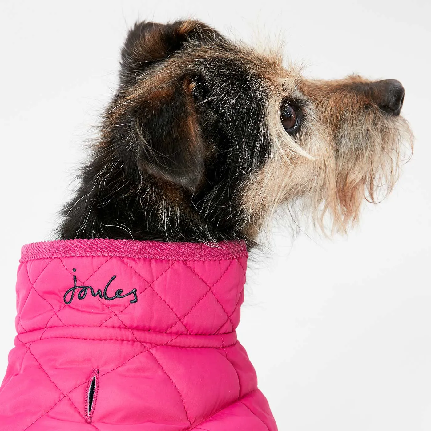 Joules Quilted Dog Coat