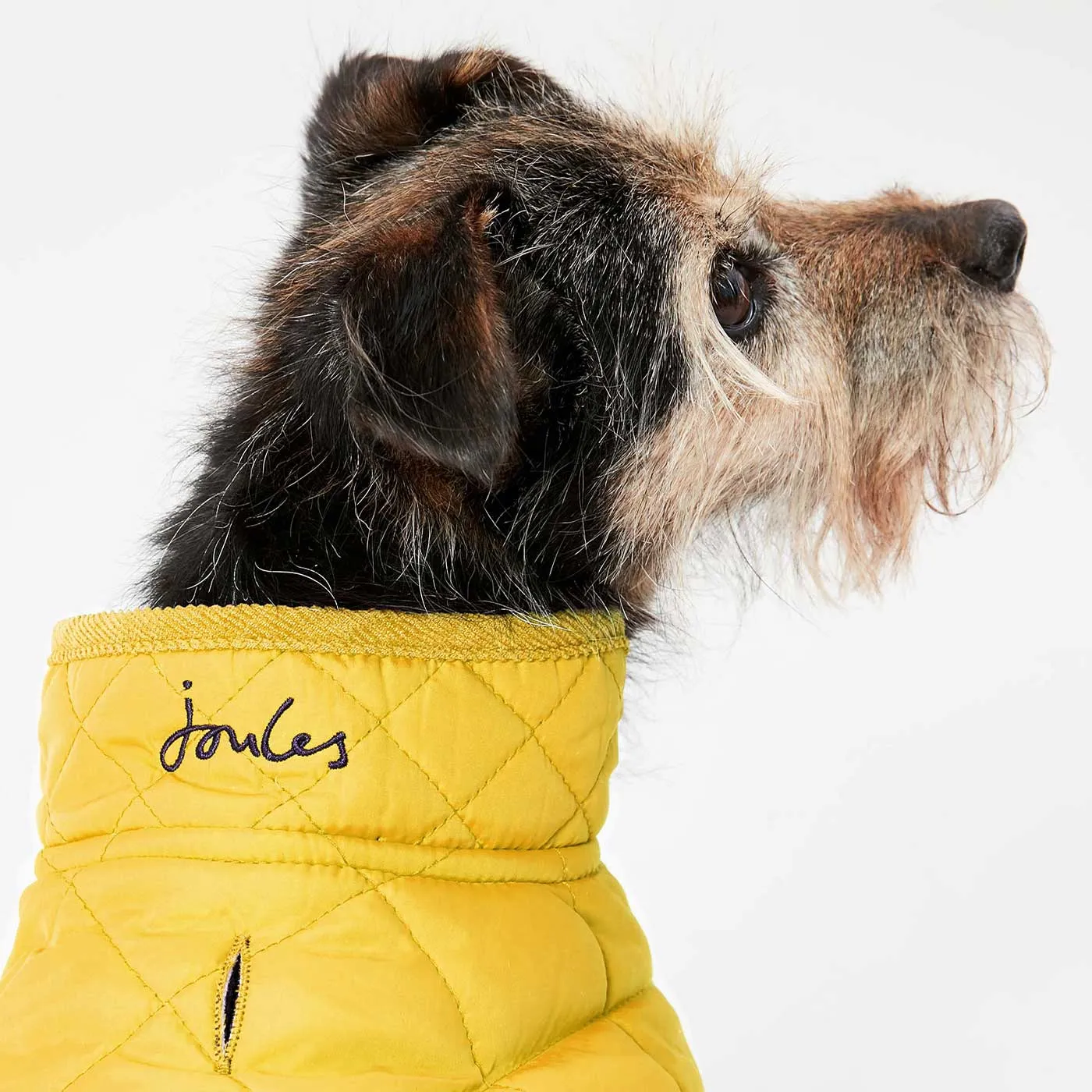 Joules Quilted Dog Coat