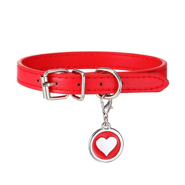 PetAffairs Customizable Pet Collar with Personalized Nameplate