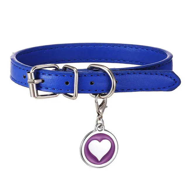 PetAffairs Customizable Pet Collar with Personalized Nameplate